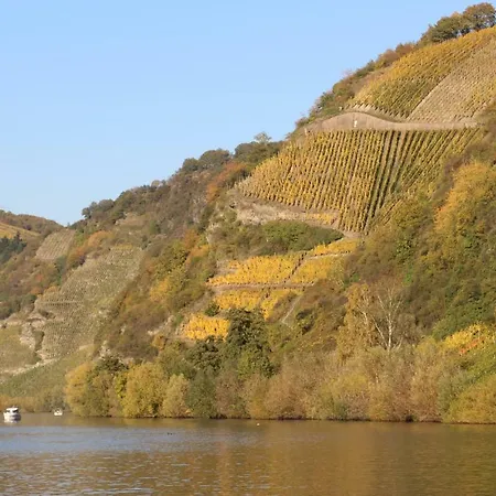 Flaemisches Weinhaus
