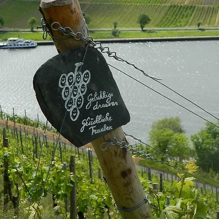 Appartement Flaemisches Weinhaus