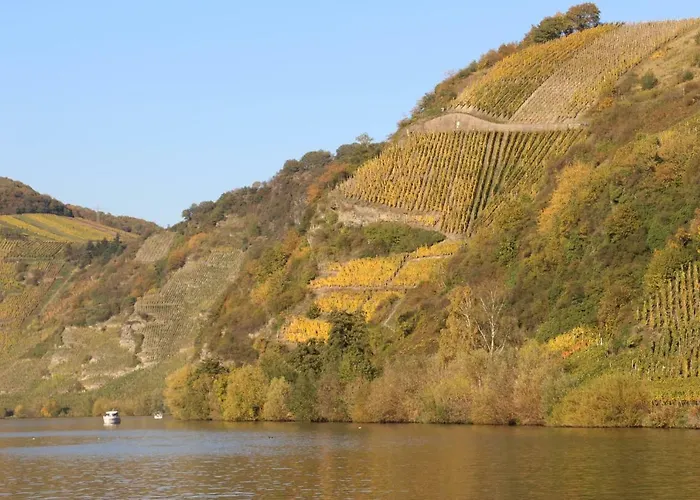 Flämisches Weinhaus